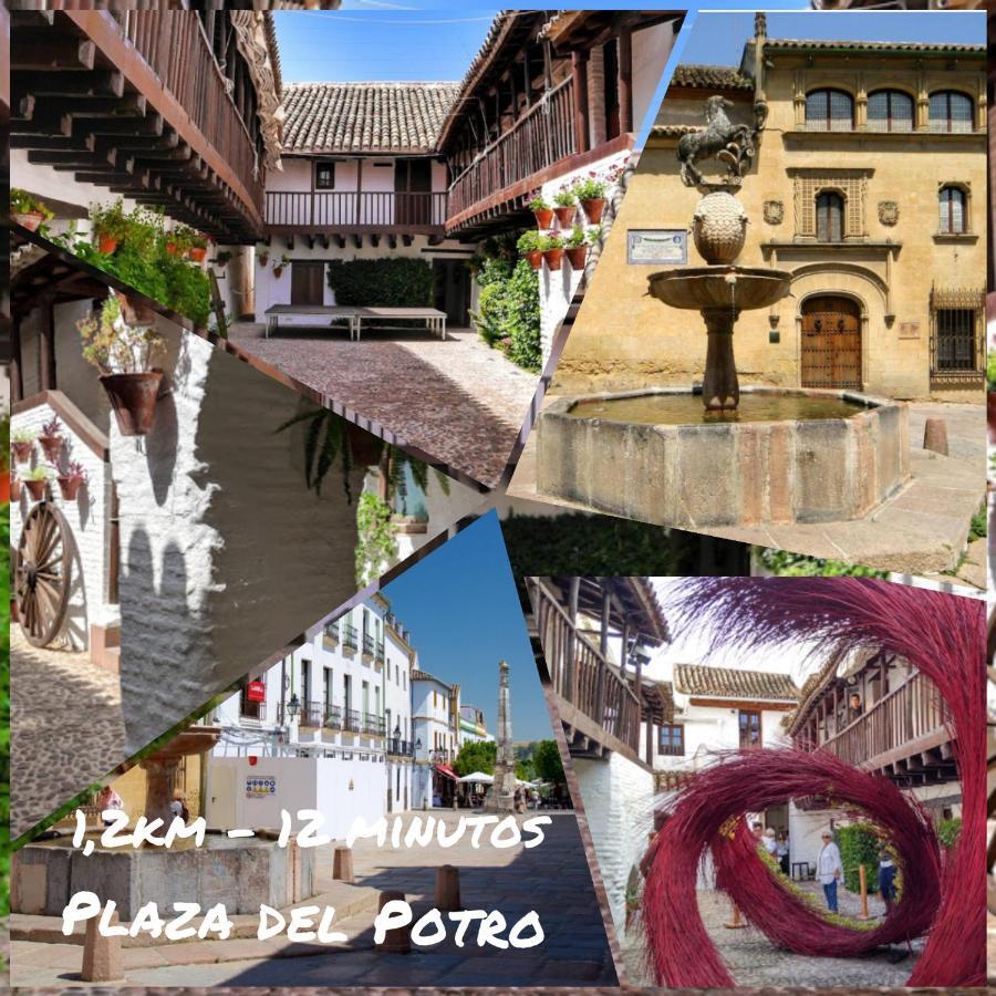 Tati Flat - "Parking Facil" Daire Cordoba Dış mekan fotoğraf