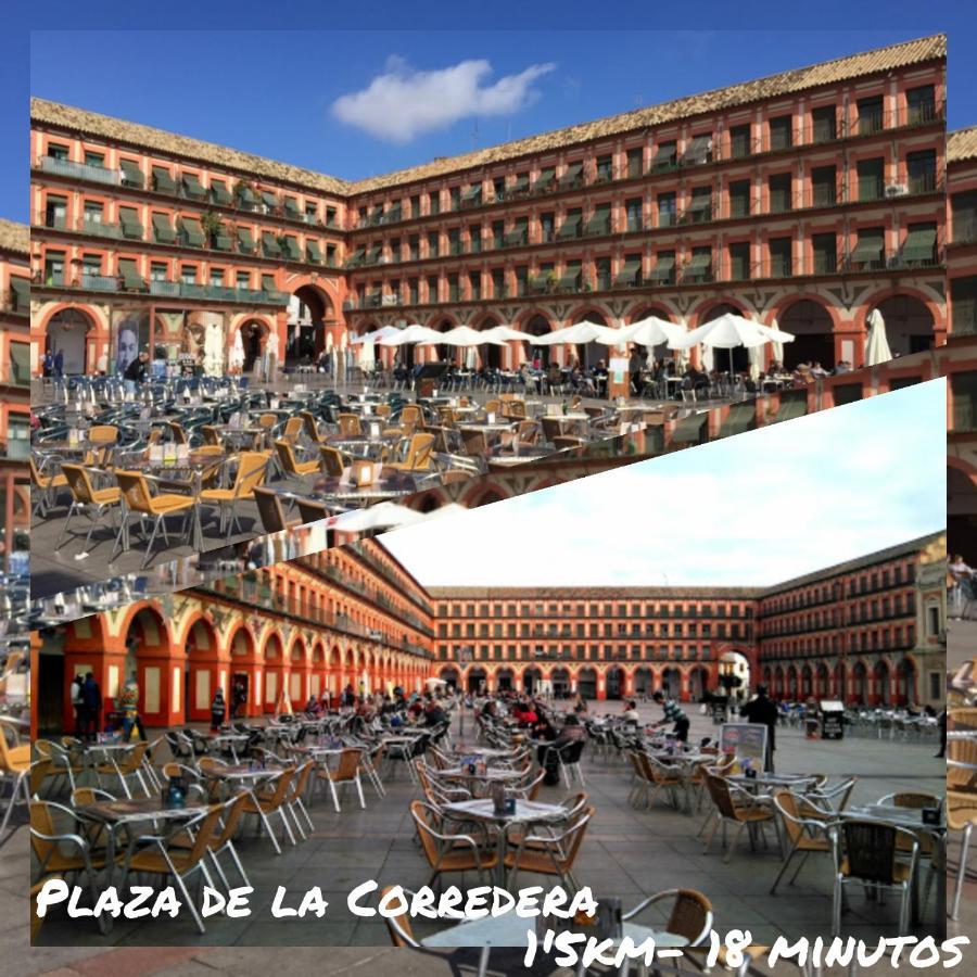 Tati Flat - "Parking Facil" Daire Cordoba Dış mekan fotoğraf